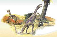 Ornitholestes, Coelophysis, Compsognathus - Coelurosauři se pohybovali rychlým během po zadních končetinách a pravděpodobně se z nich vyvinuli ptáci